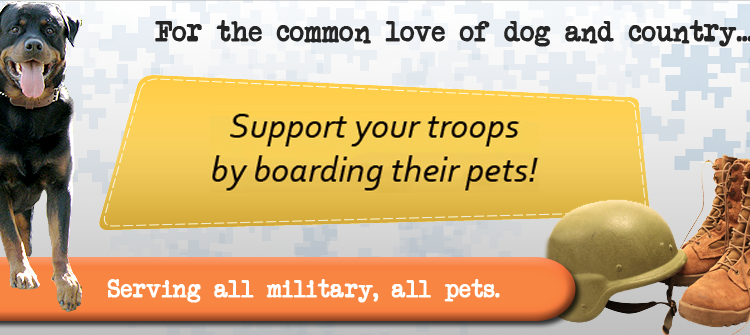 man's best friend boarding
