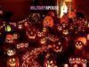 5 Reasons I Hate Halloween