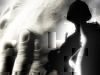 Recognizing PTSD Signs in Your Spouse