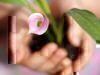 Why Therapy Might Be Your Saving Grace