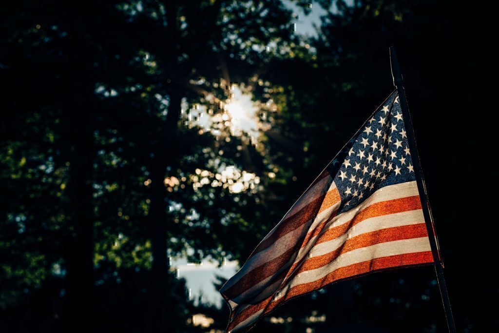 veterans day 2015 freebies