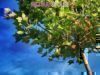 I Learned to Be a Resilient Spouse Through the Trees