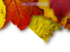 3 Easy Ideas for Transitioning Your Home from Summer to Fall