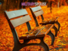 Let Nature Renew Your Homeschool Spirit This Fall