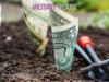 Turn Financial Defeat Into Victory