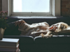 Spouse Confessions: I’m Afraid of Reintegration