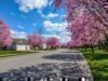 20 Ways Living on Base Feels a Bit Like Pleasantville