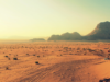 Face It & Embrace It: 29 Palms is My Favorite Duty Station