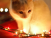 35 Reasons We’re Glad The Holidays Are Over