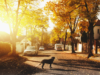 6 Things to Remember to Survive the New Duty Station Blues