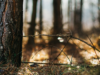 How to Deal With Lyme Disease at Your Duty Station