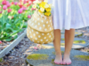 Why You Should Just Plant the Garden…