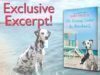 Read This Exclusive Excerpt from No Kissing Under The Boardwalk by Kate Angell