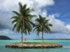 Spouse Confessions: The Island Life for Me