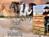 April 2019 Book Club Pick – Marrying My Cowboy