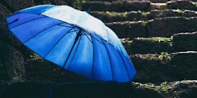 no umbrellas allowed ending no umbrellas allowed ending