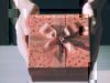 A Gift to Servicemembers and Spouses – The Servicemembers Civil Relief Act