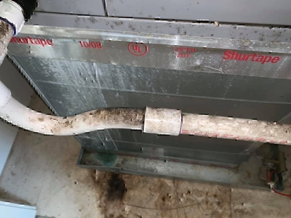 Black mold that is growing on pipes in Fort Bragg, North Carolina.