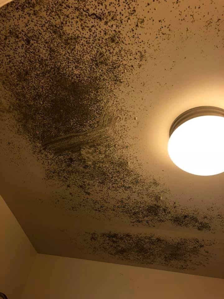 Black mold growing on the ceiling of the Fort Meade base in Maryland.