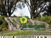 Shades of Green, a Magical Military Resort Destination