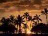 Army Investigating Death of Soldier’s Spouse at Schofield Barracks in Hawaii