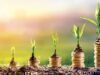 3 Lifestyle Changes That Can Make You Wealthy