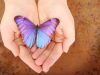 Embracing Anti-fragility: A Call to Reevaluate Military Spouse Resiliency