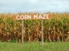 Maize Maze Memories