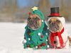 Holiday GIFs That Say What Every Military Spouse Is Thinking