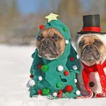 Holiday GIFs That Say What Every Military Spouse Is Thinking